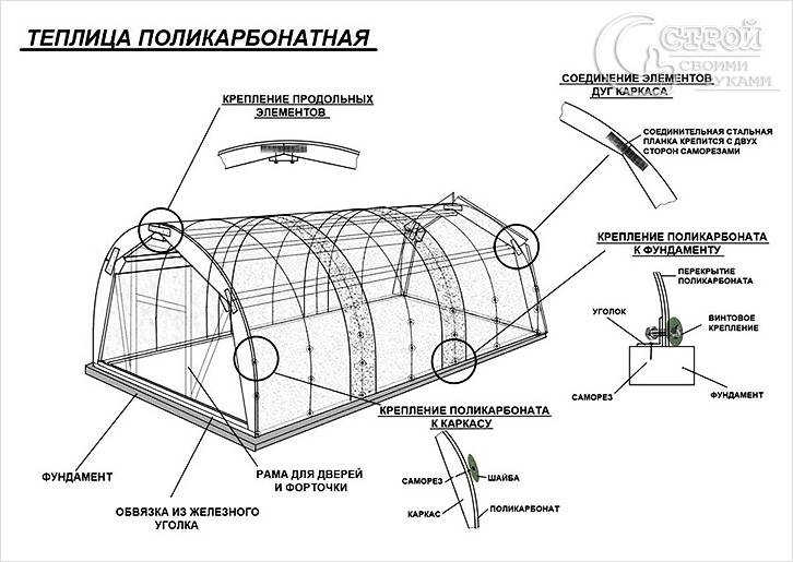 Теплица из поликарбоната своими руками