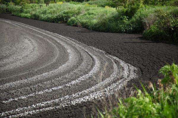 Куда течёт вода из унитаза, или Как очищаются бытовые сточные воды