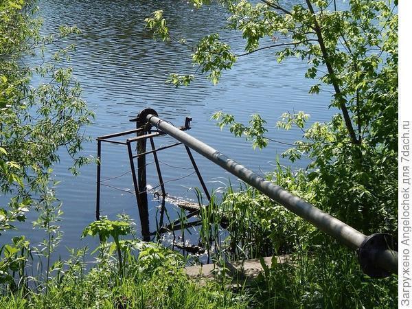 Поливайте огород: он ведь тоже воду пьет!