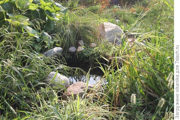 Мини-водоём под водосточной трубой из автомобильной покрышки