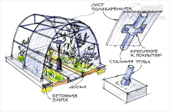 Теплица из поликарбоната своими руками